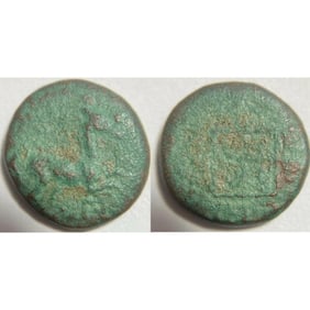 Rare Ancient Greek Bronze Coin, Horse With Grapevine