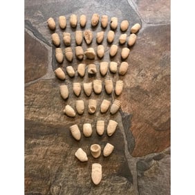 Group of Civil War Minnie Balls, Bullets