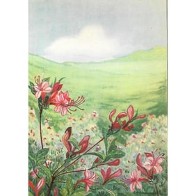 1920s Honeysuckle Color Lithograph Print