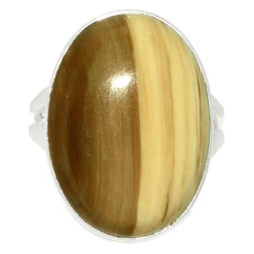 Petrified Wood Sterling Silver Ring