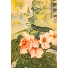 1920s Begonia Color Lithograph Print