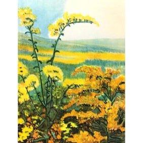 1920's Goldenrod, Color Lithograph Print