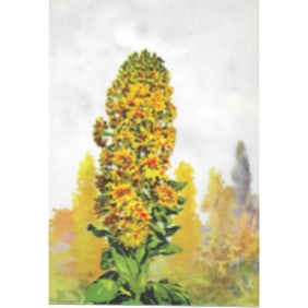 1920s Color Lithograph Print, Mignonette