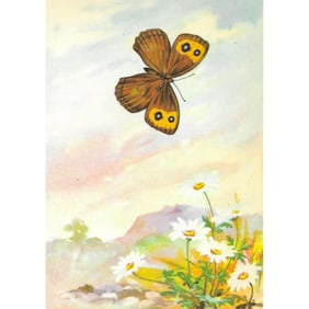 1920s Blue-Eyed Grayling Butterfly Color Lithograph Print