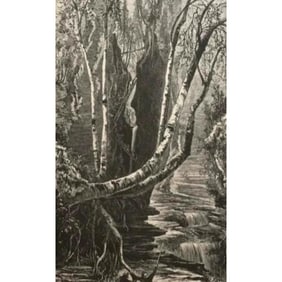 19thc Wood Engraving, Glen Creek Falls, New York