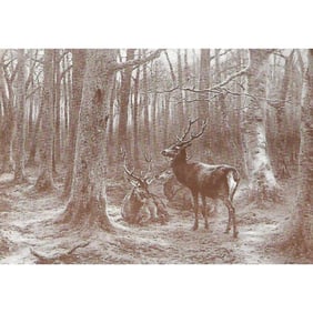 Early 1900s Print, Bonhuer, Deer