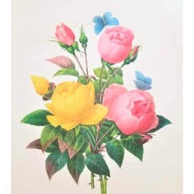 After Pierre-Jospeh Redoute, Floral Print, #127 Rose
