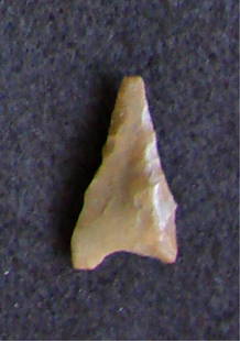 Sahara Neolithic point, measures approx 1 inch: Sahara Neolithic point, measures approx 1 inch
