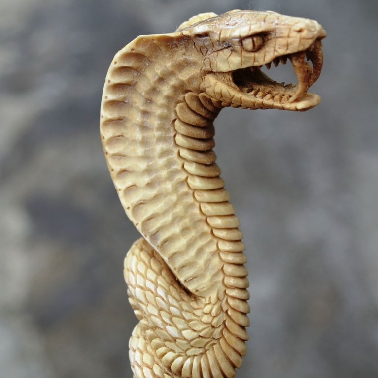 Carved Antler, Cobra Snake Knife Dagger Handle: Hand-carved shed deer antler, knife or dagger handle, in the form of a cobra snake bearing its fangs. 5 1/2" H. 1" D body -2 1/4" width back of head to fangs.