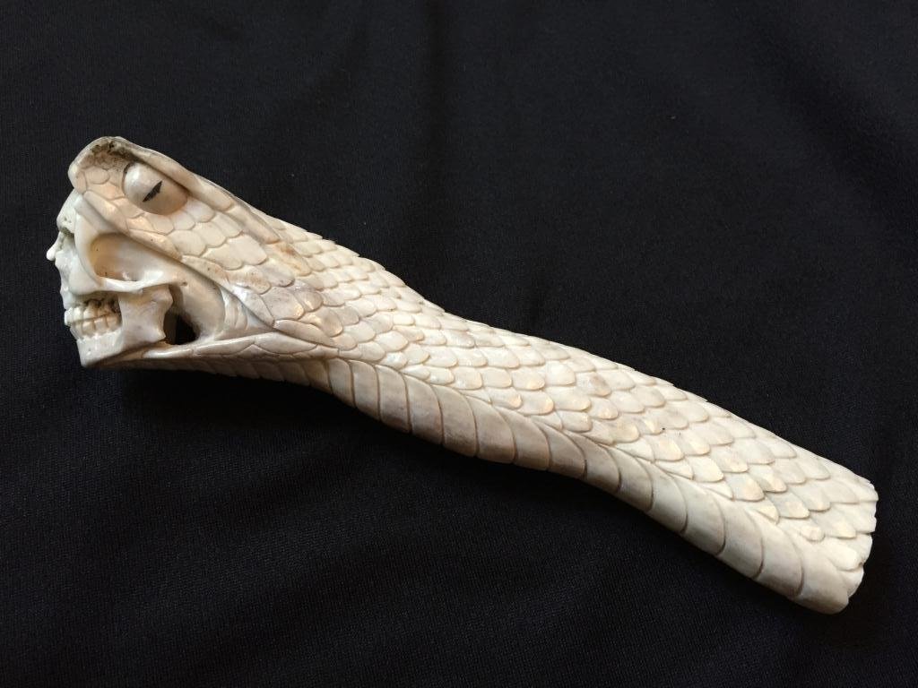 Carved Antler Snake & Skull Cane Handle: Hand-carved shed deer antler, walking stick or cane handle, in the form of a snake serpent, bearing fangs while devouring a skeleton skull. 6 1/2" L