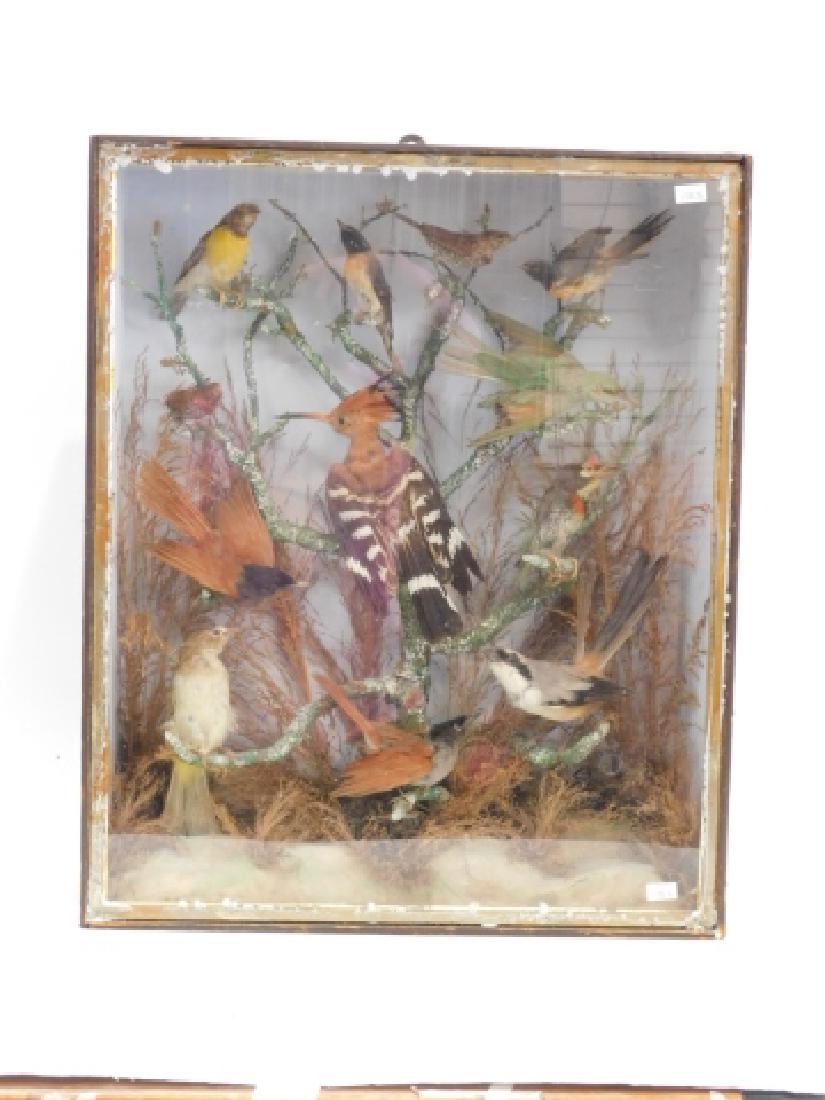 VICTORIAN BIRD SHADOWBOX: 22" TALL X 18" WIDE