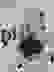 item-18202423=3
