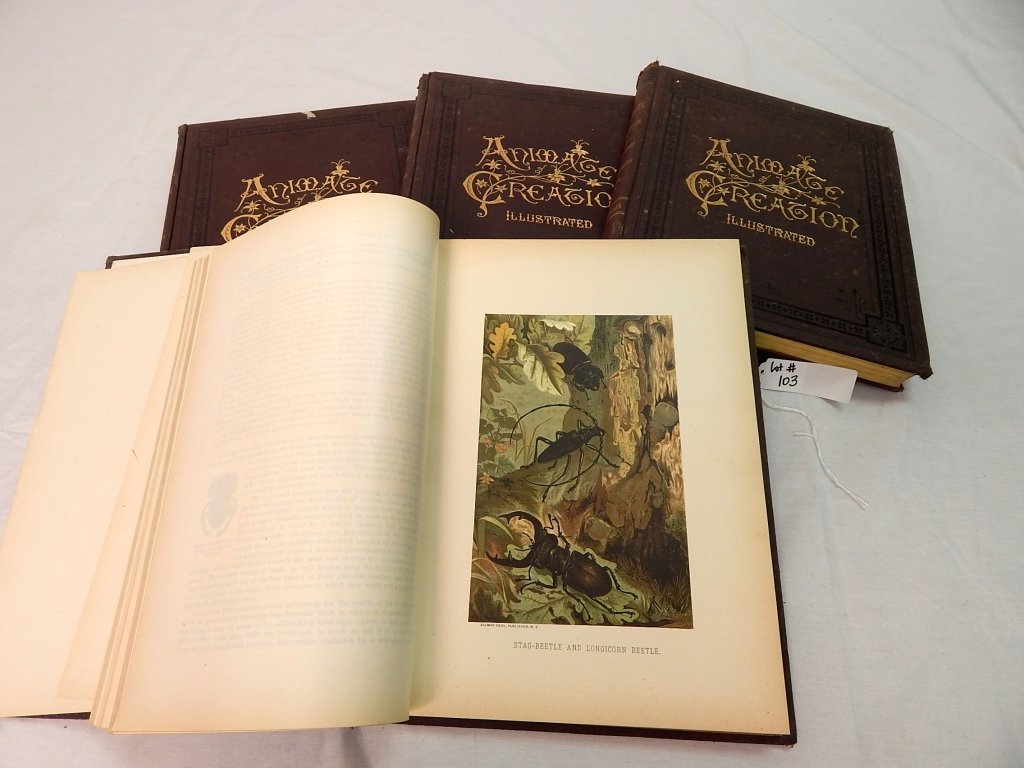 collection of animate creation books: illustrated animate creation books