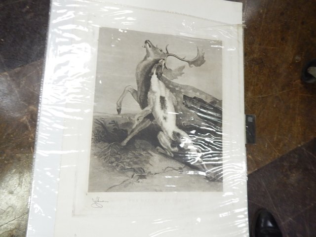 COLLECTION OF 5 ORIGINAL ENGRAVINGS 1800s: COLLECTION OF 5 LARGE ENGRAVINGS CIR 1800s.