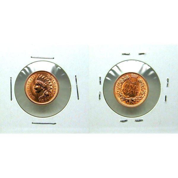 1891 Indian Head Cent - Red Gem BU - MS+++ (1 of 1)