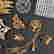 item-77772510=4