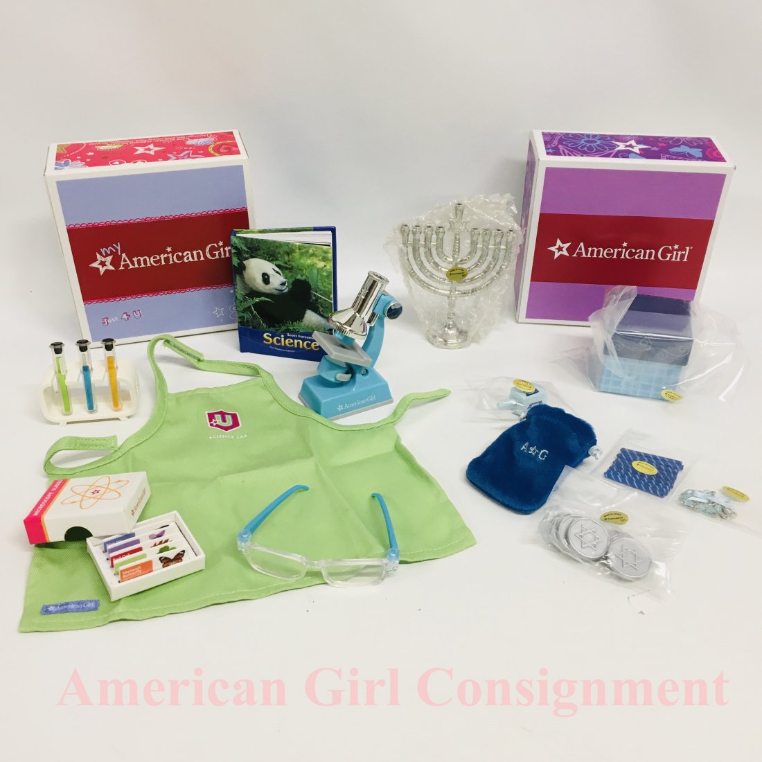 Science Lab and Hanukkah Gift American Girl Doll (1 of 4)