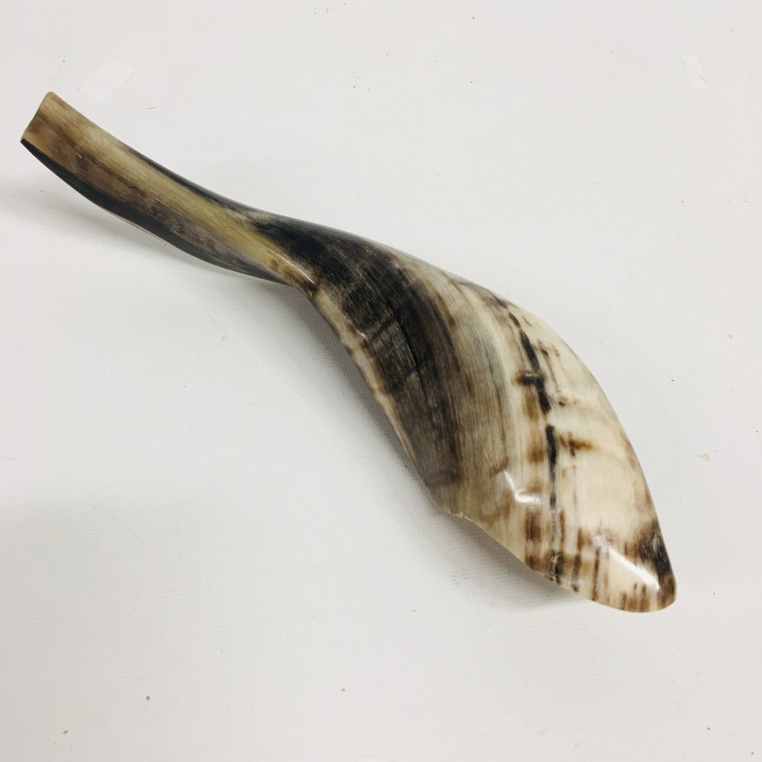 antique Conch Shell Horn Call to Prayer (1 of 3)