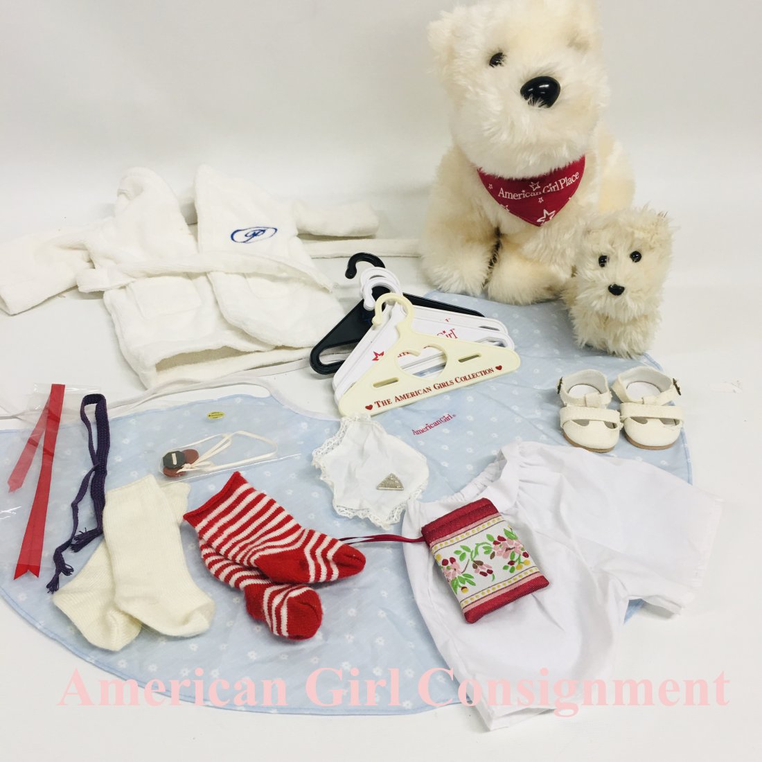 American Girl Doll girl size plush dog with Coconut: American Girl Doll girl size plush dog with pet Coconut and other accessories