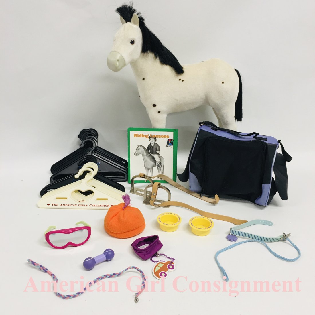 American Girl Doll  Kaya Foal Sparks Flying, Pet Gear (1 of 6)