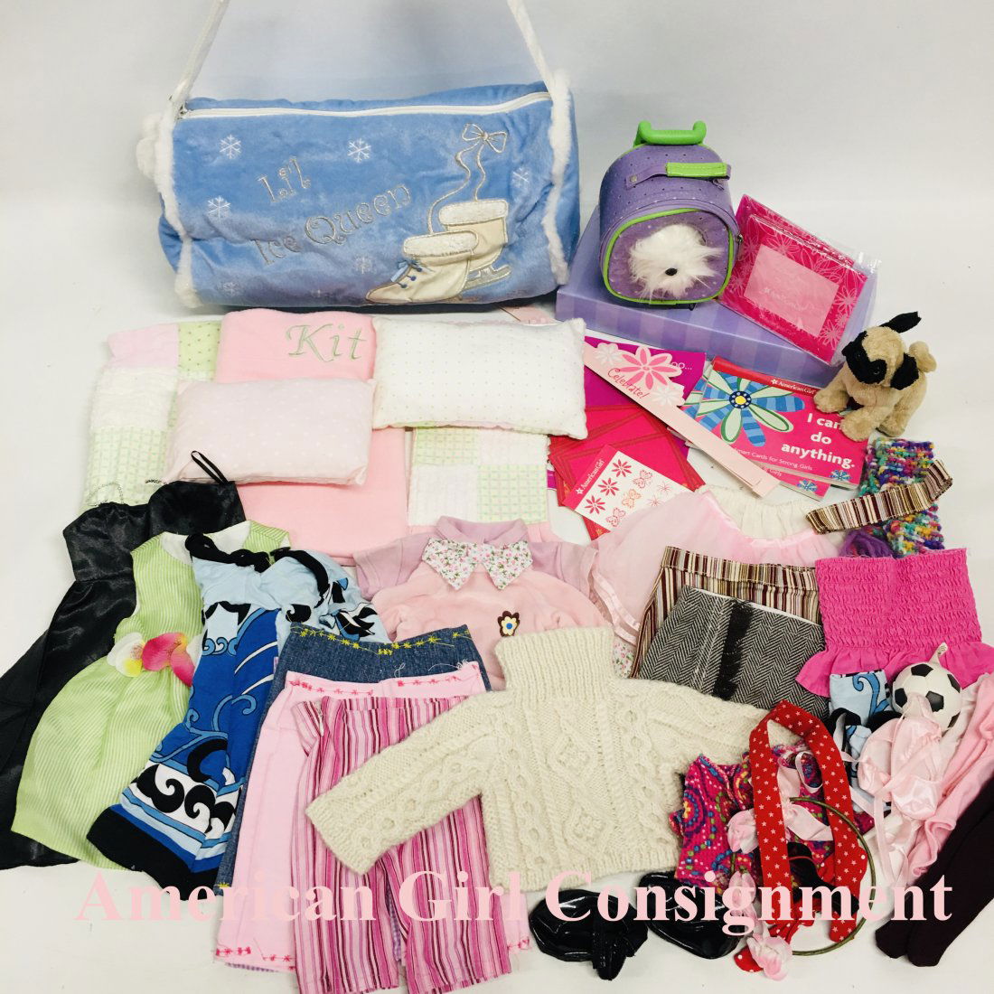 Collection of Doll Clothes and Pets Fits American Girl (1 of 3)