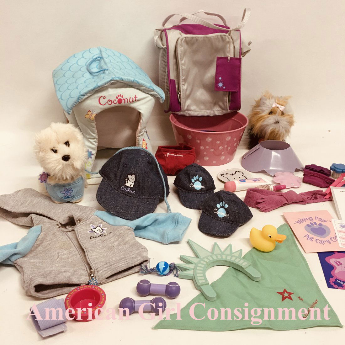 American Girl Doll Pet Dogs Collection - Coconut  Sugar (1 of 5)