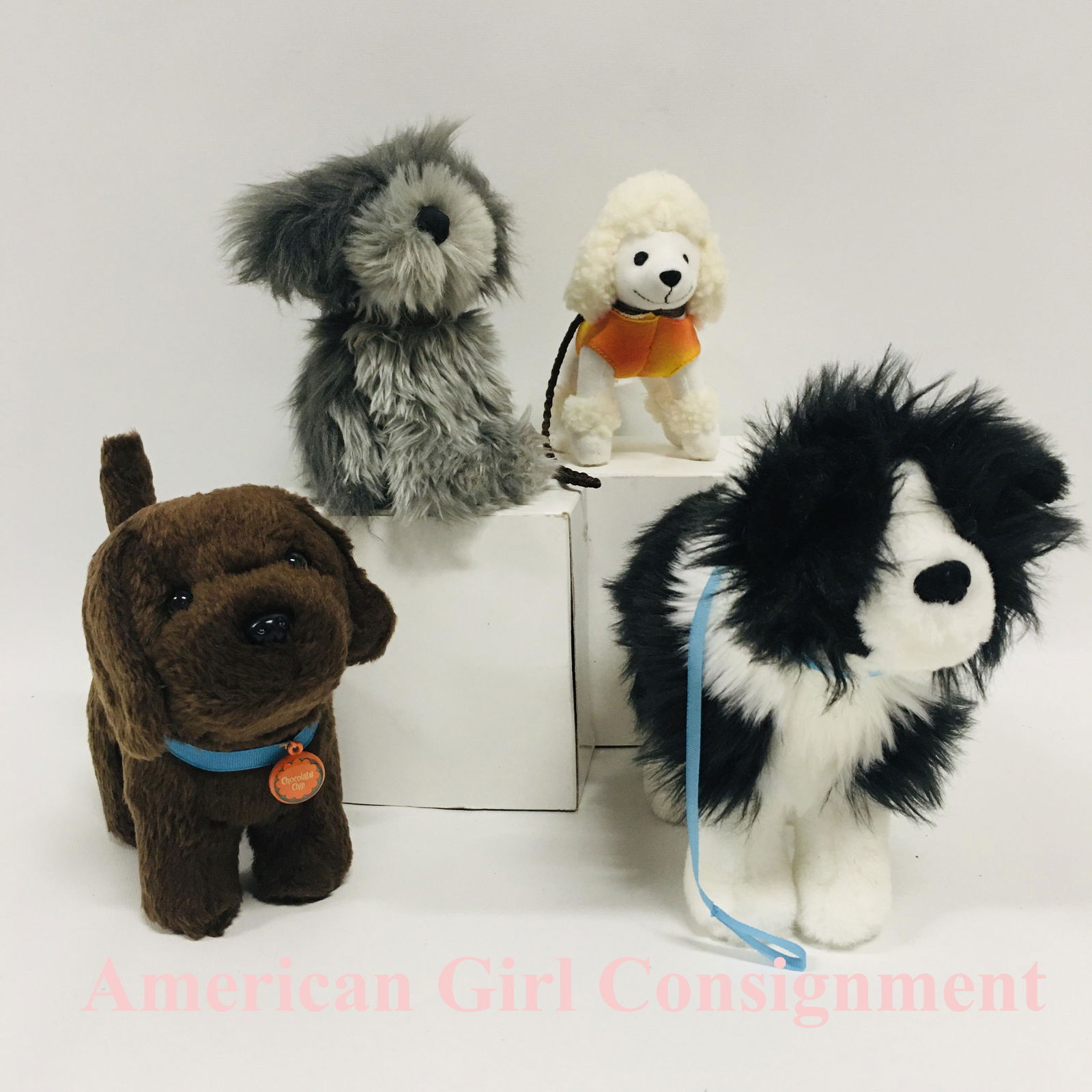 Collection of American Girl Doll Pet Dogs (1 of 4)