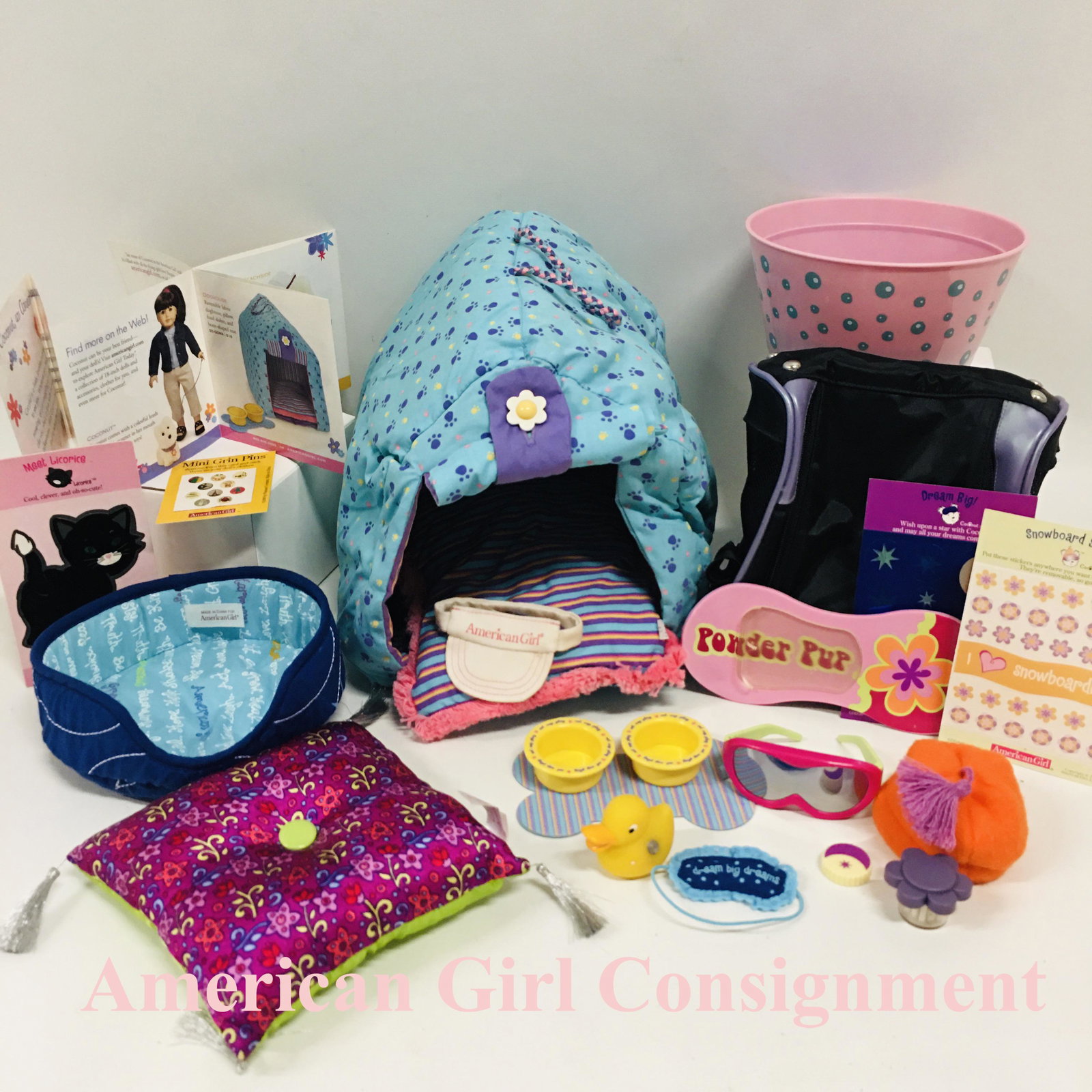 American Girl Doll of Today Pet Beds and Pet House: American Girl Doll of Today Pet Beds and Pet House ------------------ please review all pictures carefully because they are part of the description and show condition issues if any ------------------ 