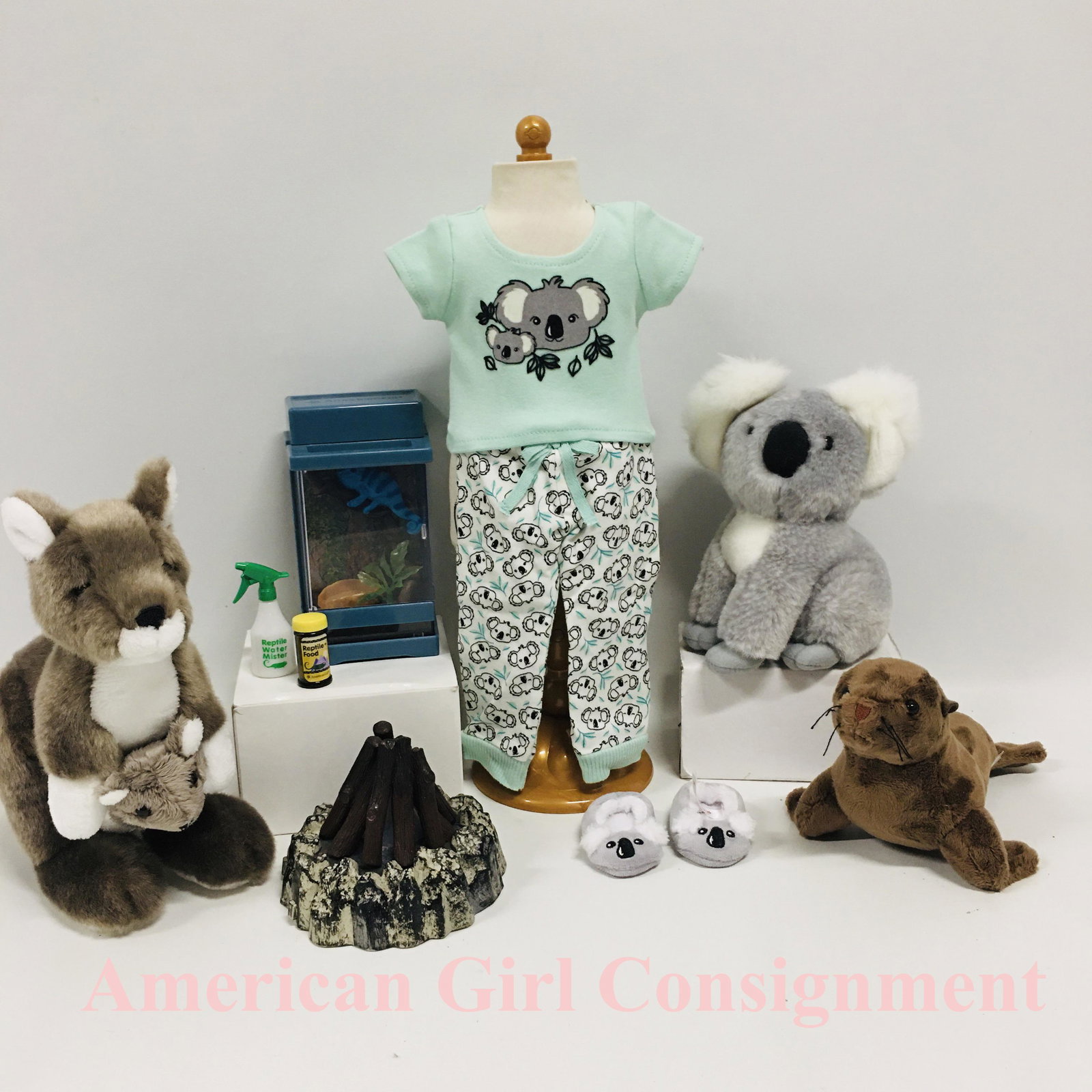 American Girl Doll Kira Kangaroo, Koala, Pajamas and Terrarium: American Girl Doll Kira Kangaroo, Koala, Pajamas and Terrarium, tags have been cut on the plush animals ------------------ please review all pictures carefully because they are part of the description