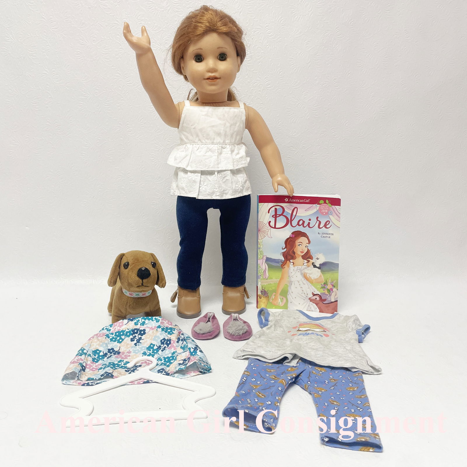 Blaire wilson best sale mini doll