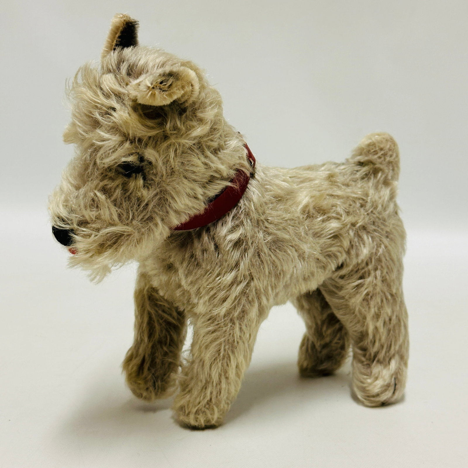 Steiff long hair Dog: Steiff long hair Dog, no button, no tag ------------------ please review all pictures carefully because they are part of the description and show condition issues if any ------------------ please cons