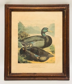 J.K. Fowler Pair of Rouen Ducks, Print