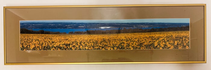 Jim Burlitch Sunflowers and Cayuga Lake Photograph