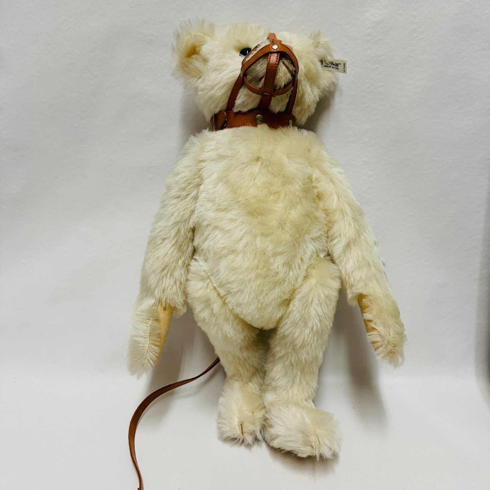 Steiff 1908 Muzzle Bear, Limited Edition, replica - 2