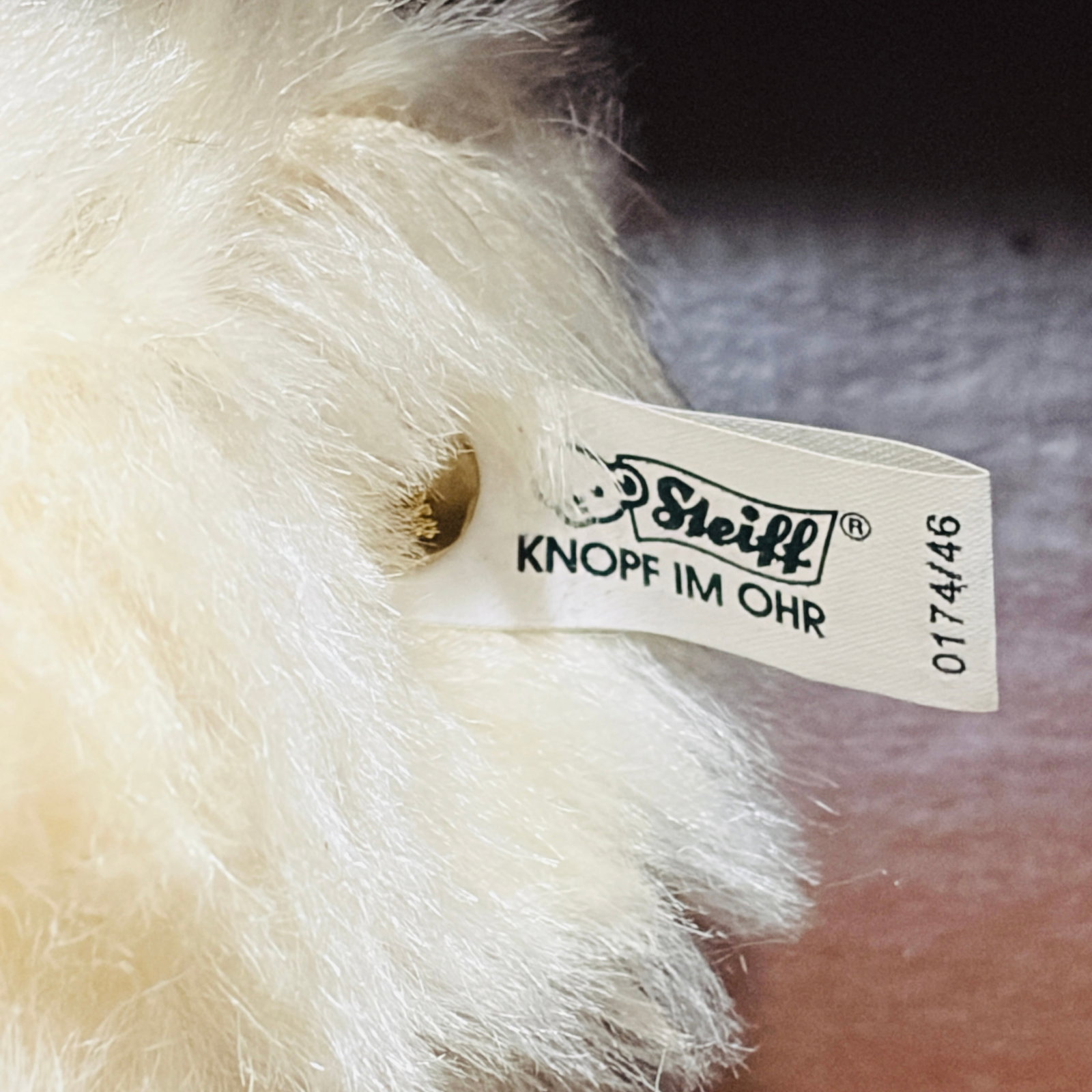 Steiff 1908 Muzzle Bear, Limited Edition, replica - 5