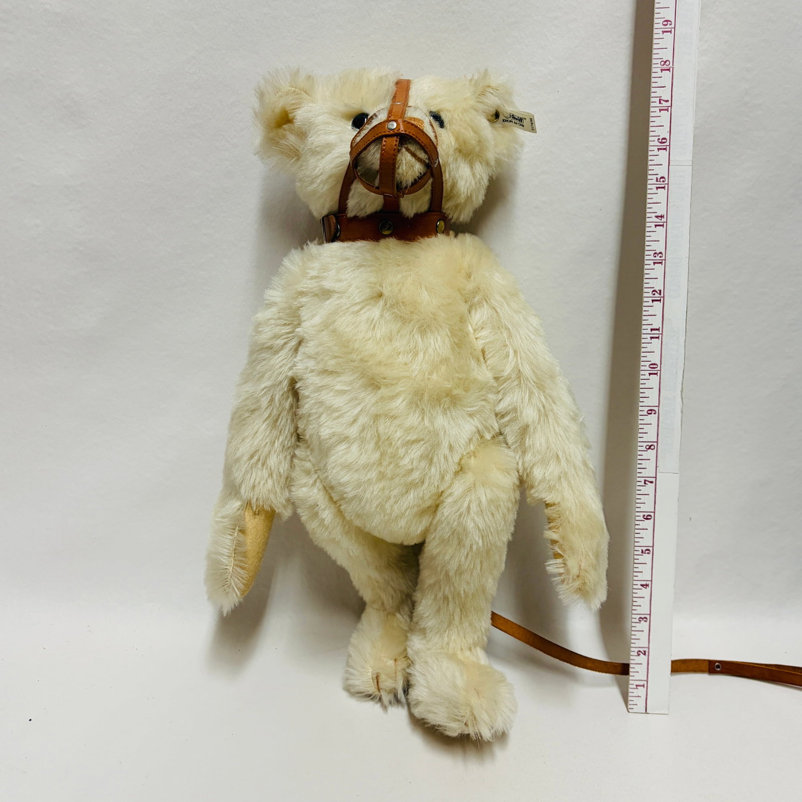 Steiff 1908 Muzzle Bear, Limited Edition, replica - 6