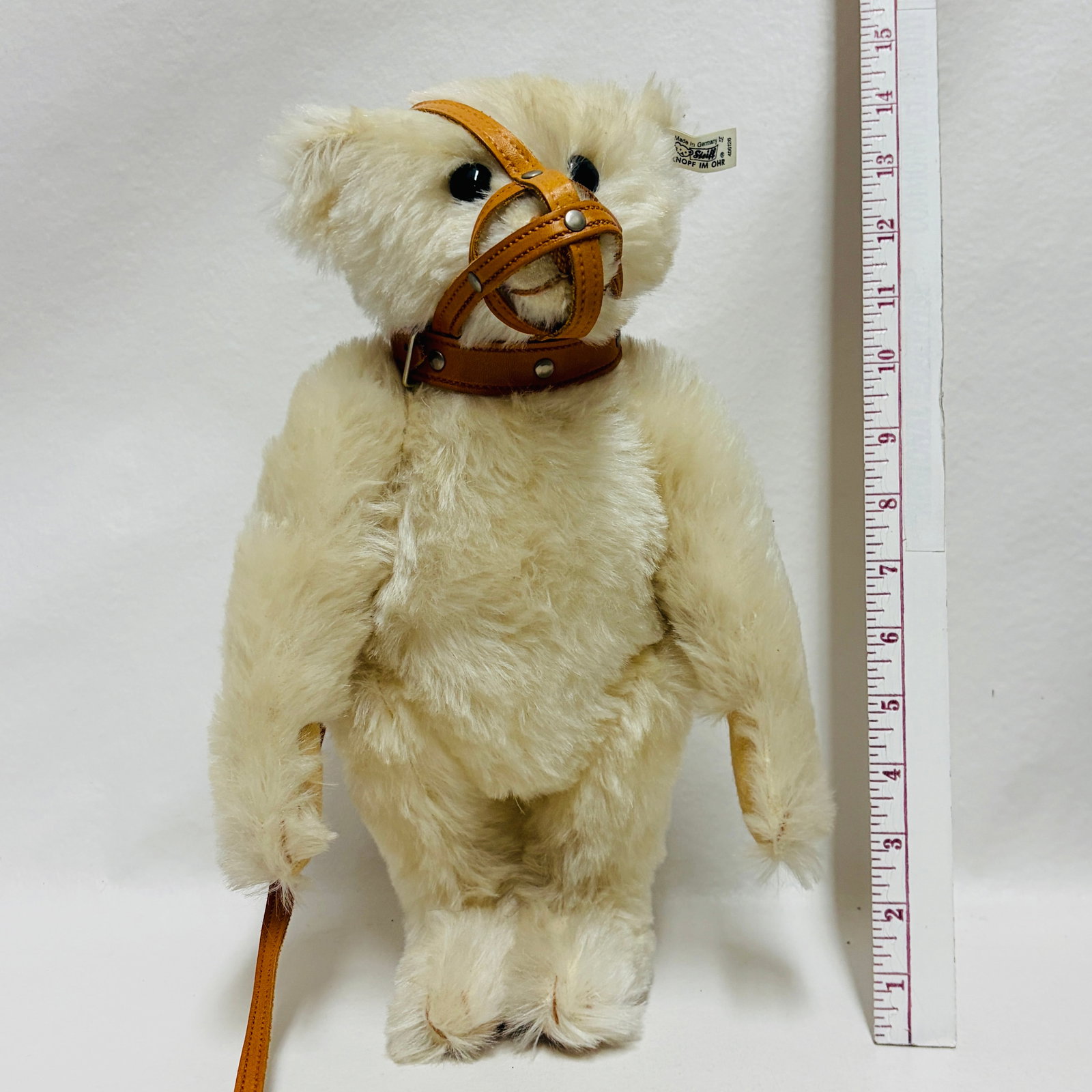 Steiff 1908 Muzzle Bear, Limited Edition, replica - 7
