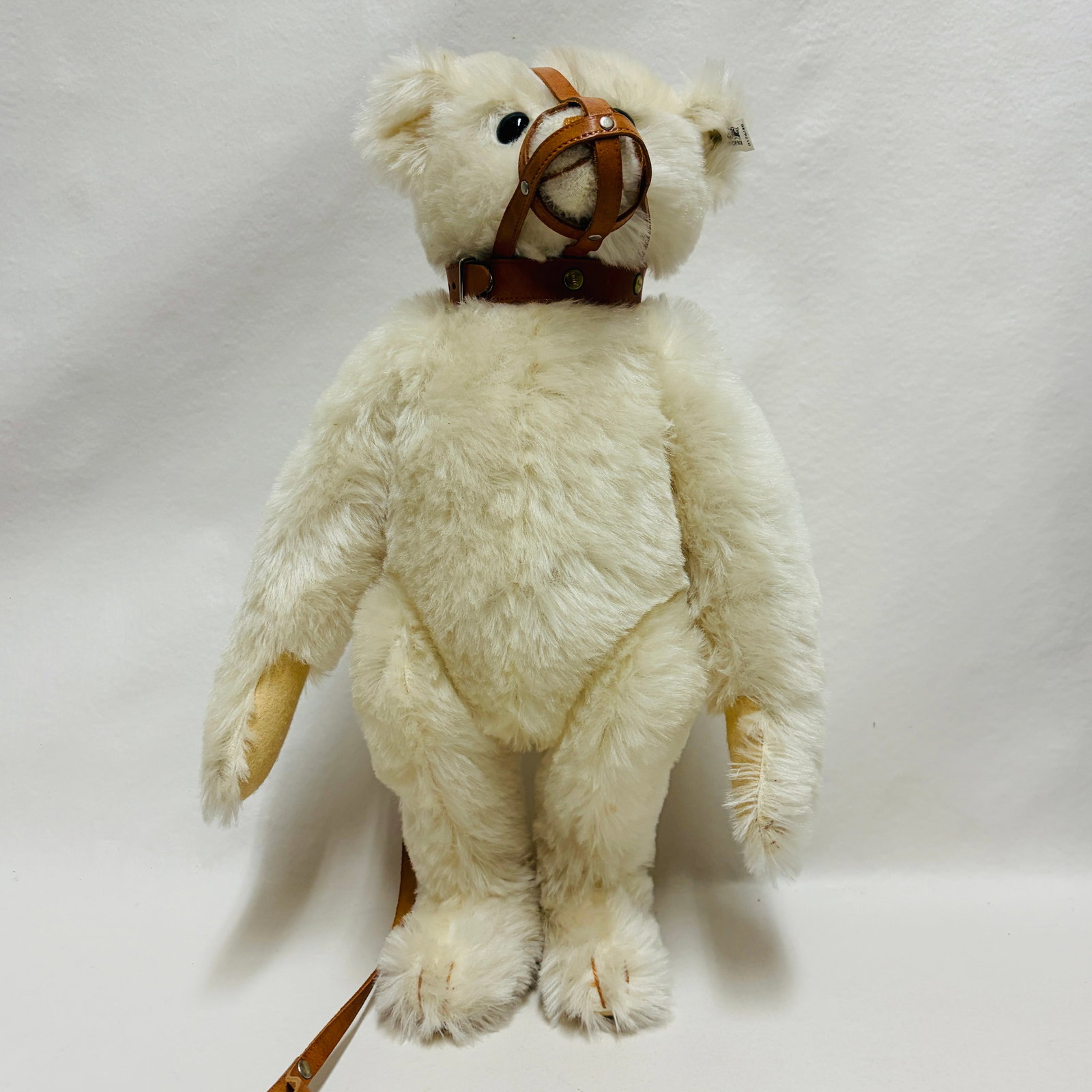 Steiff 1908 Muzzle Bear, Limited Edition, replica - 2