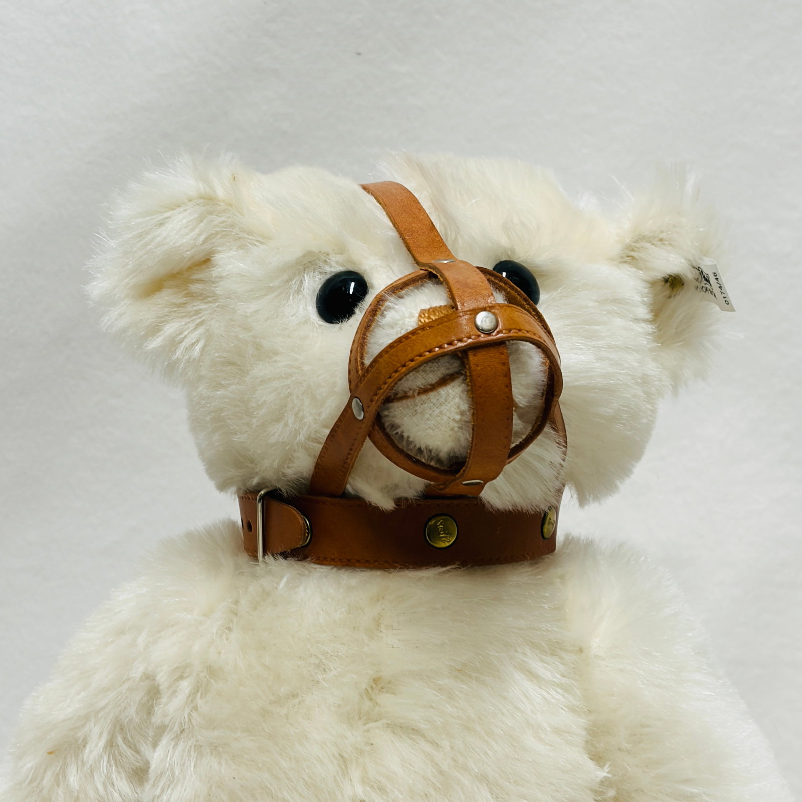 Steiff 1908 Muzzle Bear, Limited Edition, replica - 3