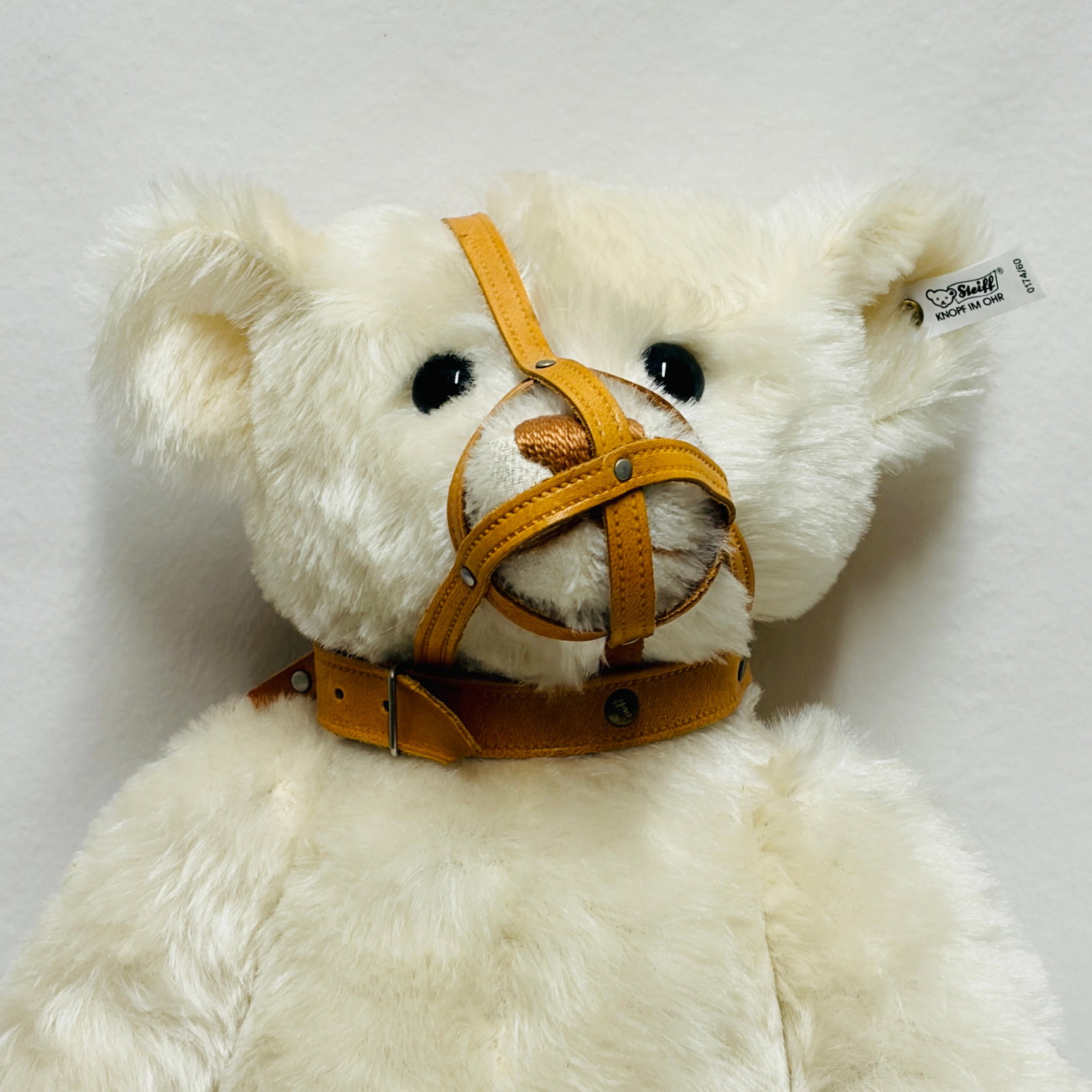 Steiff 1908 Muzzle Bear, Limited Edition, replica - 3