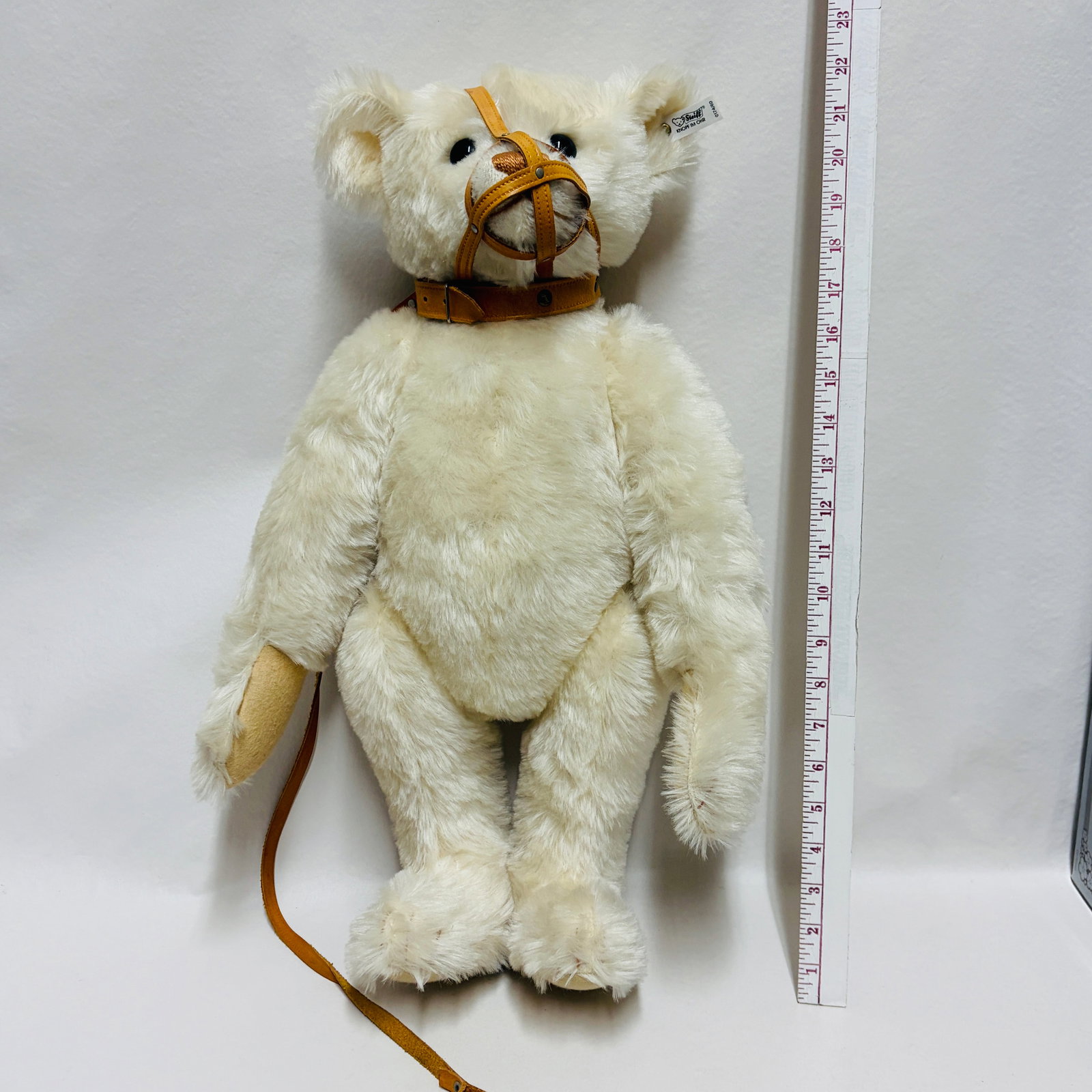 Steiff 1908 Muzzle Bear, Limited Edition, replica - 6