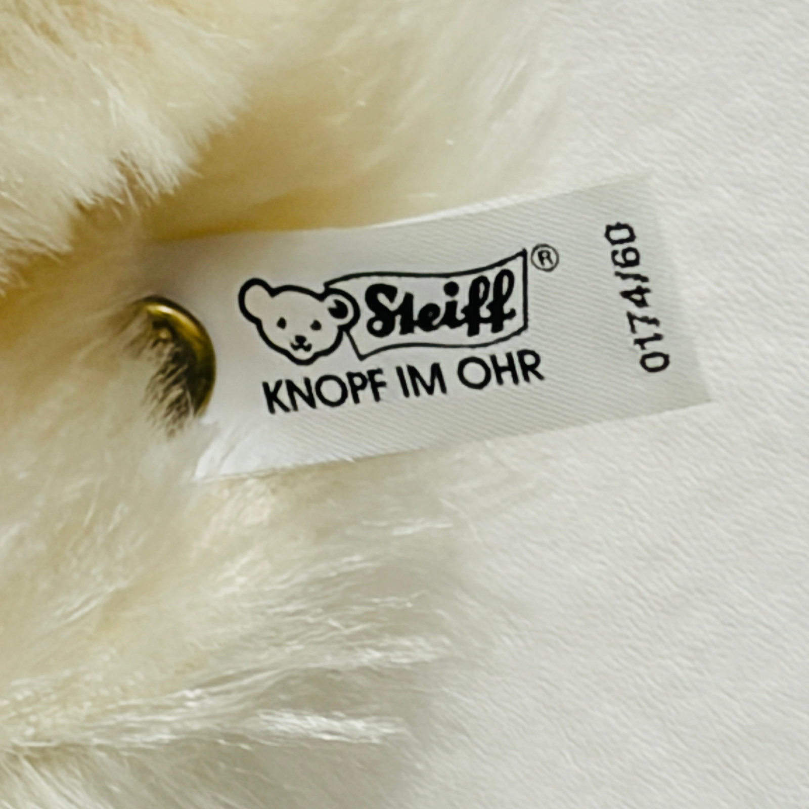 Steiff 1908 Muzzle Bear, Limited Edition, replica - 7