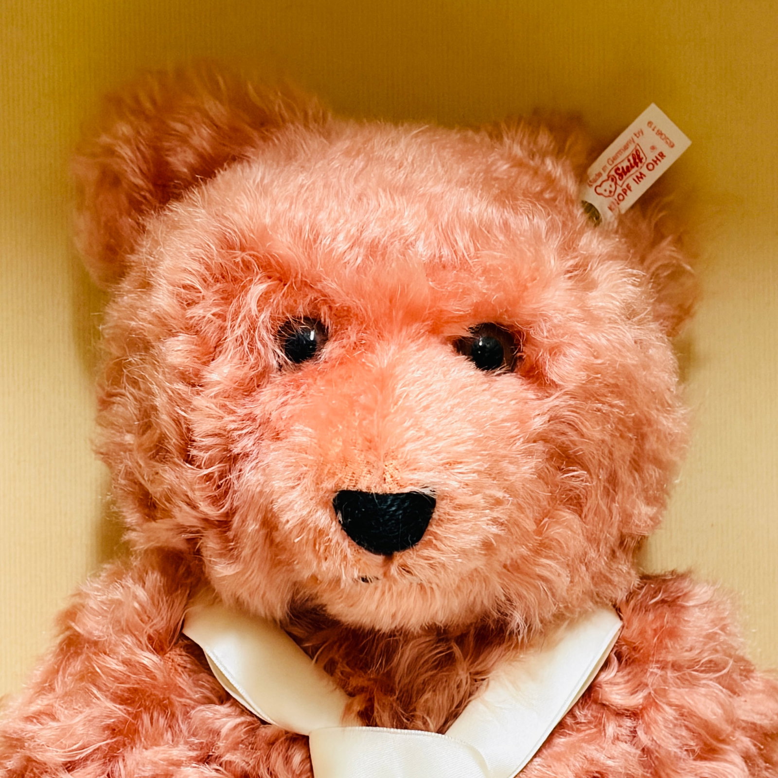 Steiff Compass Rose Teddy Bear - 3