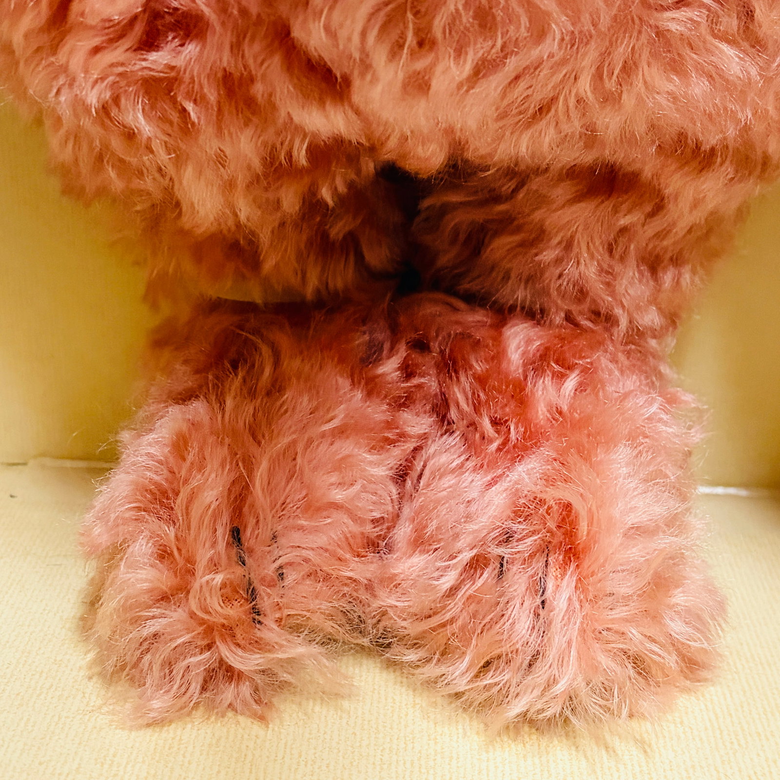 Steiff Compass Rose Teddy Bear - 4