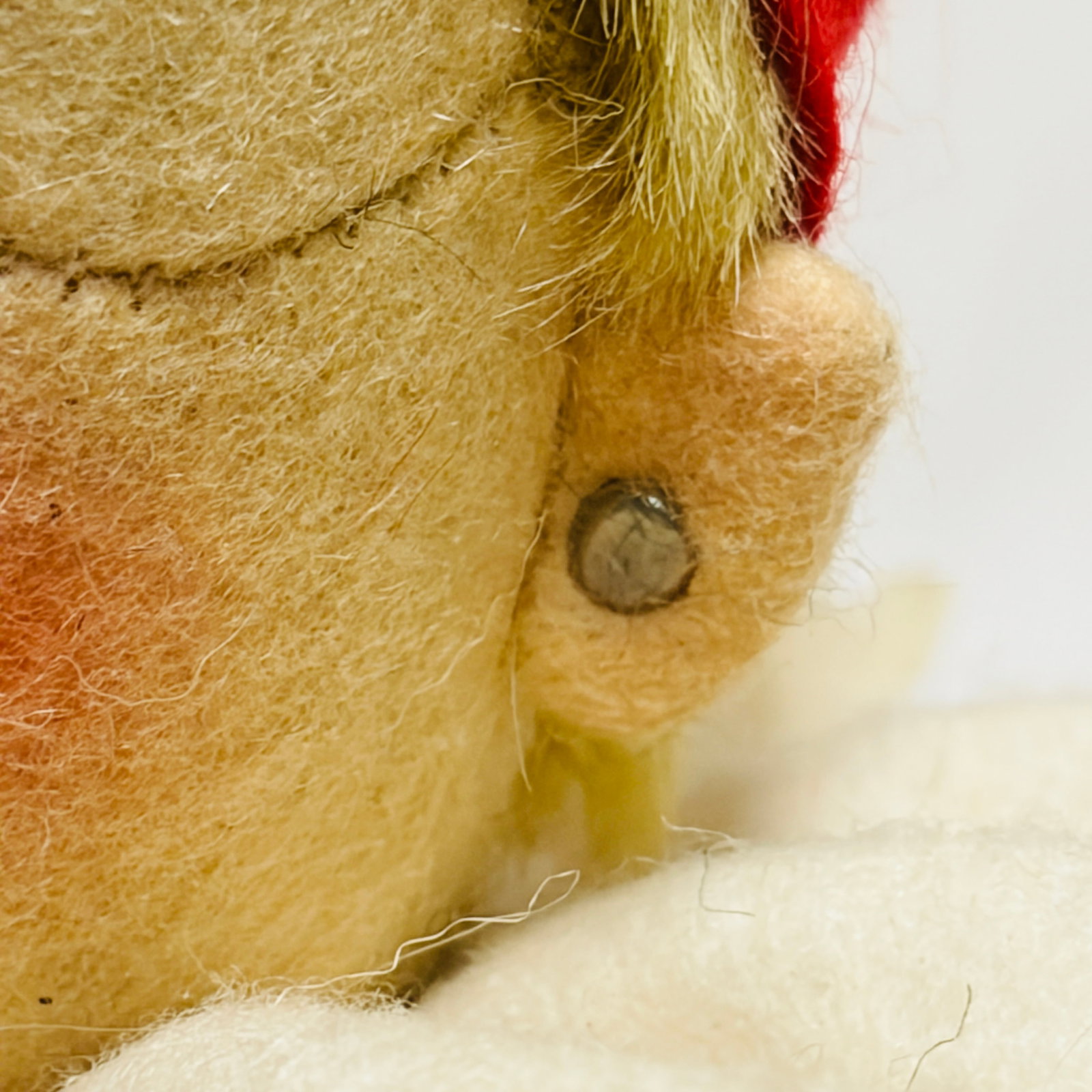 Steiff Roly Poly, signed on hand - 10