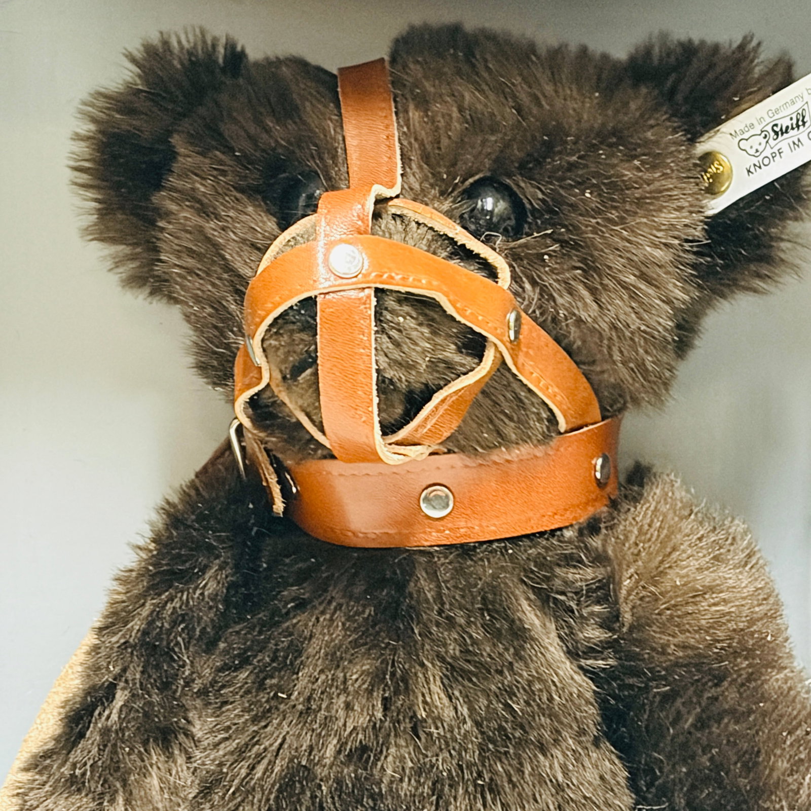 Steiff 1908 Muzzle Bear, Limited Edition, replica - 3