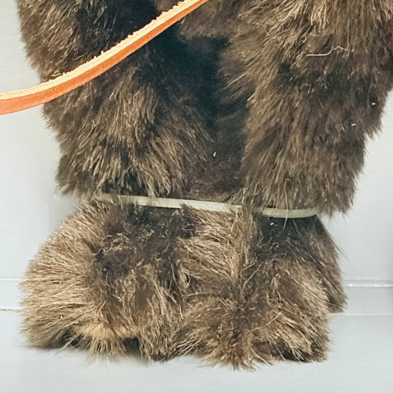 Steiff 1908 Muzzle Bear, Limited Edition, replica - 4