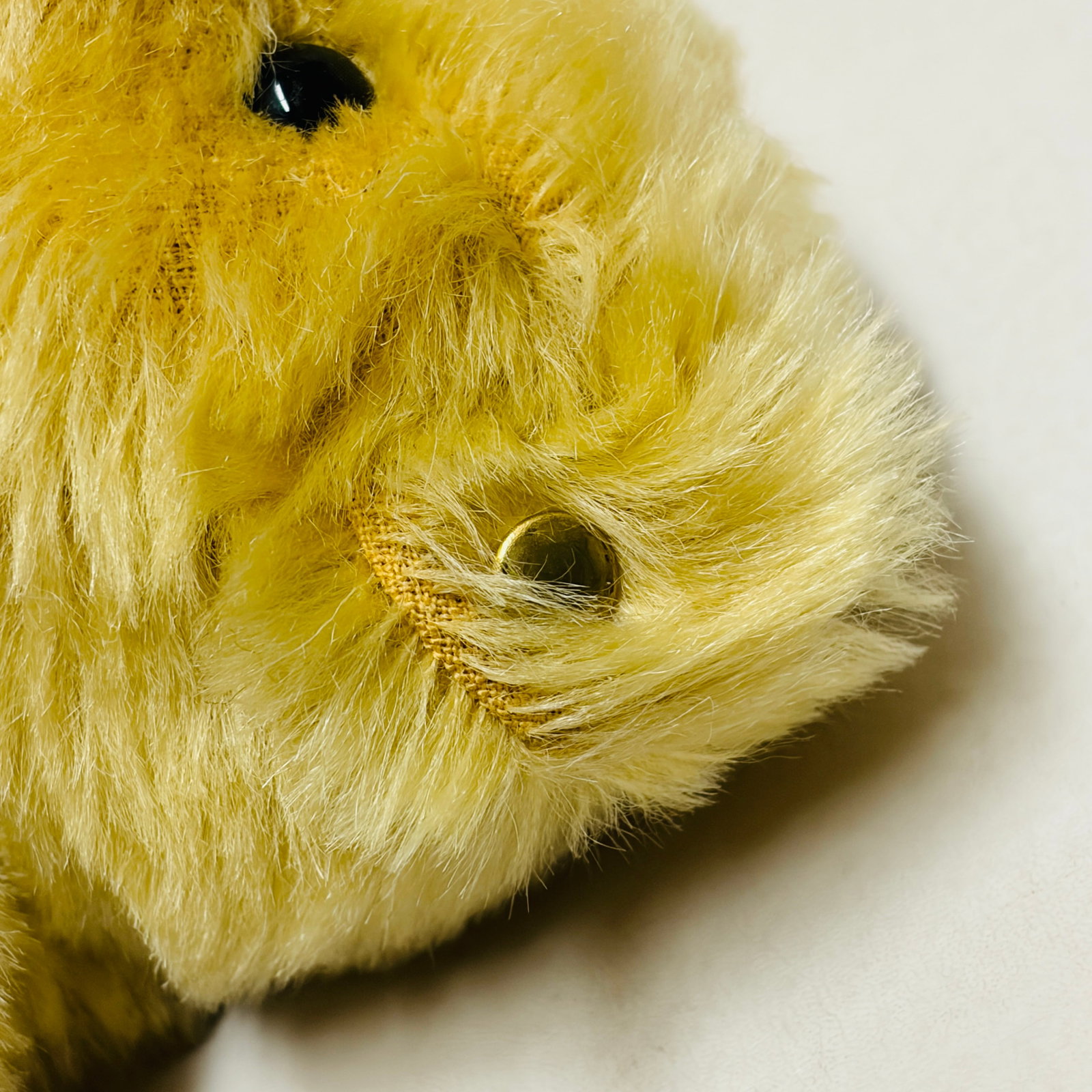 Steiff Original Teddy Bear, Signed - 10