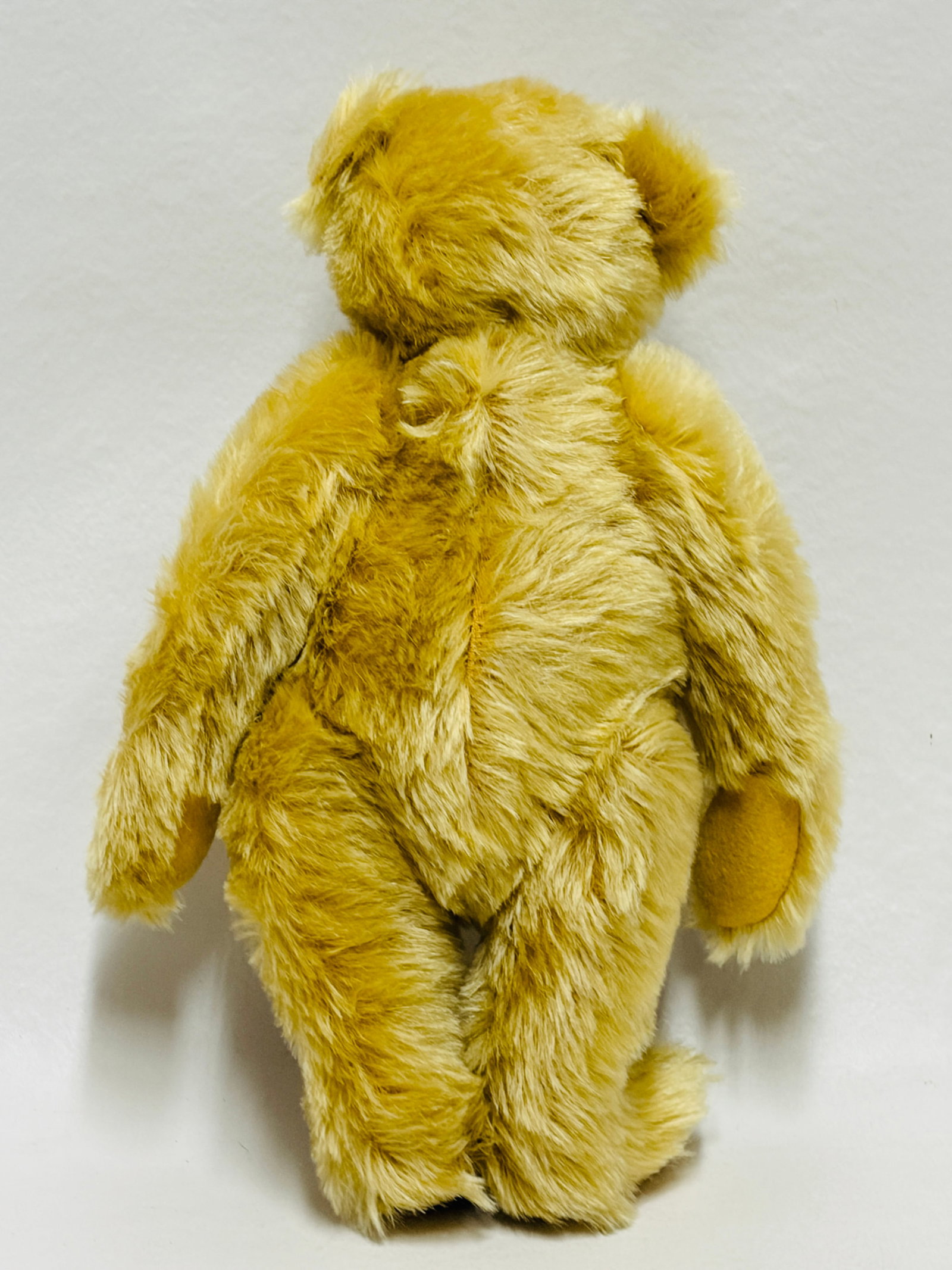 Steiff Original Teddy Bear, Signed - 3