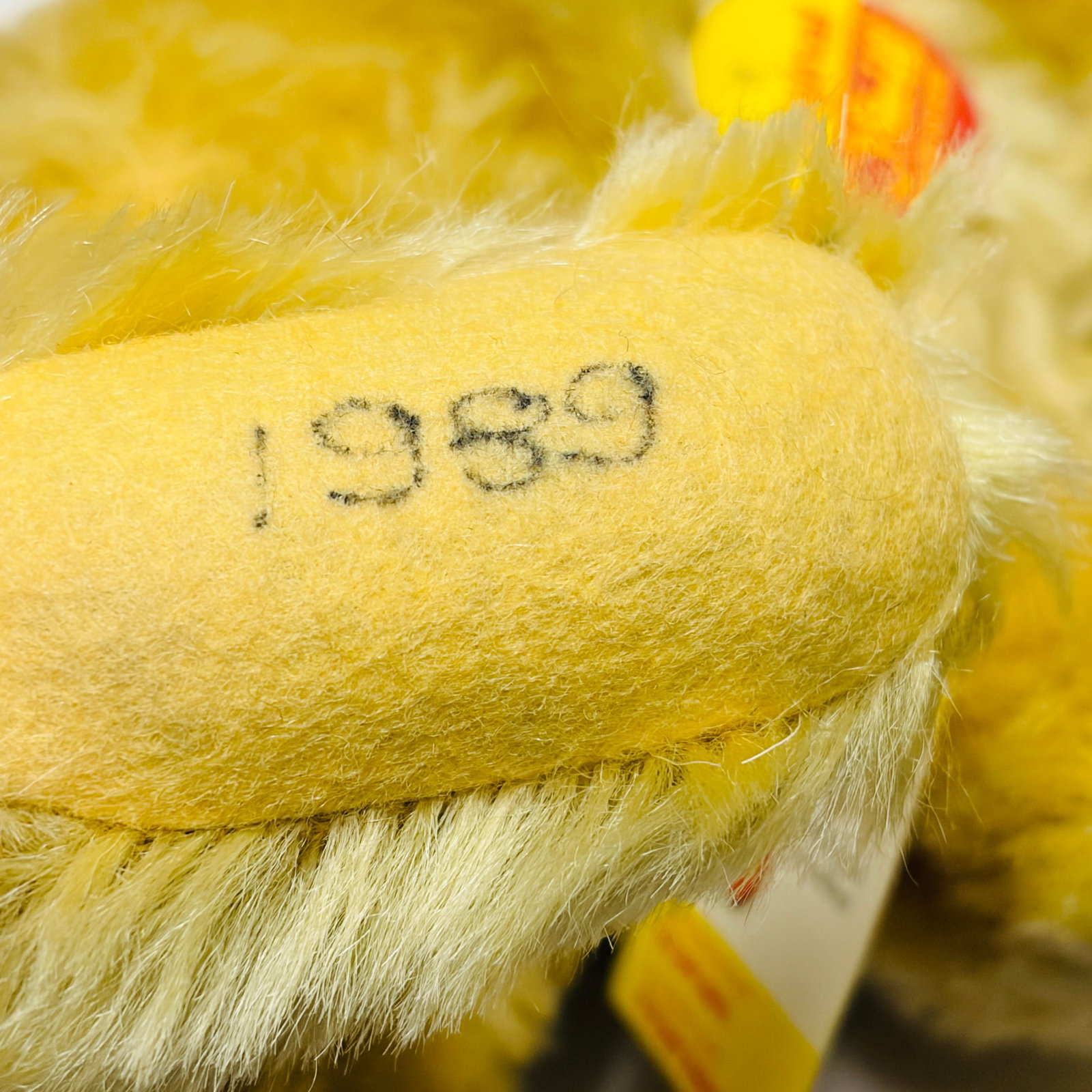 Steiff Original Teddy Bear, Signed - 5